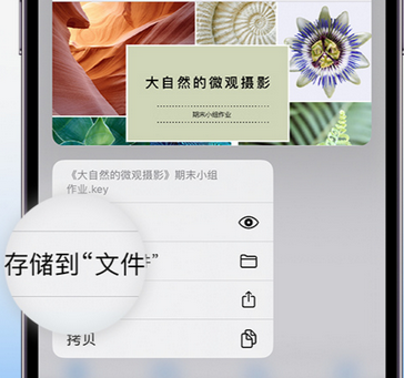 振兴apple维修中心分享iPhone文件应用中存储和找到下载文件