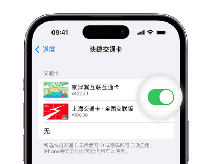 振兴apple维修点分享iPhone上更换Apple Pay快捷交通卡手绘卡面 