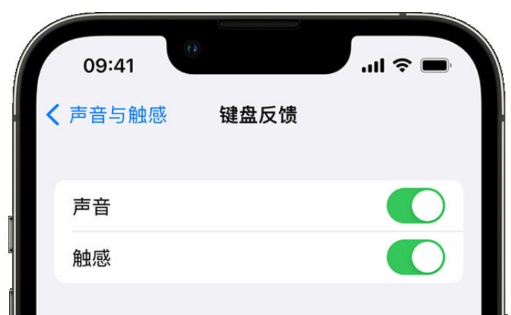 振兴苹果手机维修分享iPhone 14触感键盘使用方法 
