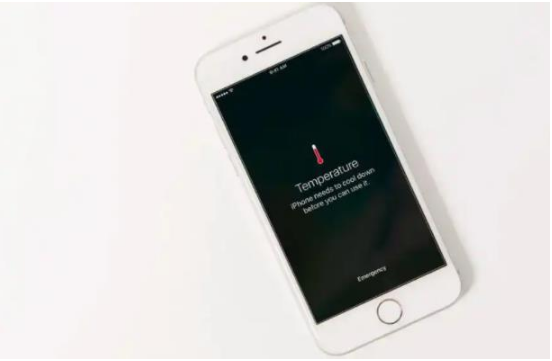 振兴苹果手机维修分享iPhone 手机发热如何快速降温 