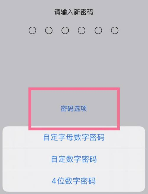 振兴苹果14维修分享iPhone 14plus设置密码的方法 