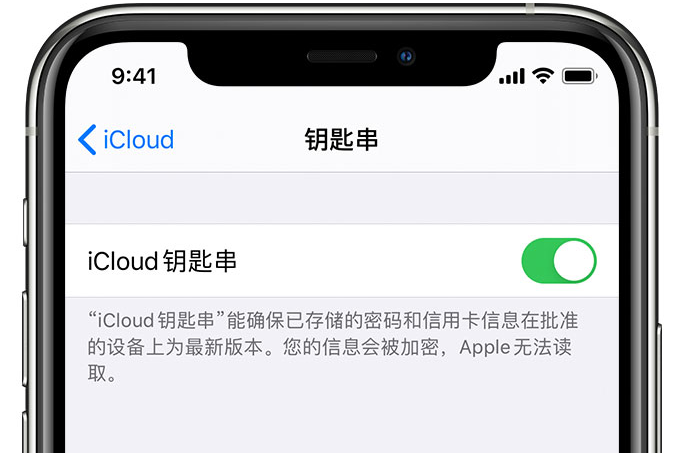 振兴苹果手机维修分享在 iPhone 上开启 iCloud 钥匙串之后会储存哪些信息 