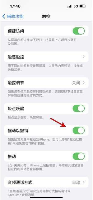 振兴苹果手机维修分享iPhone手机如何设置摇一摇删除文字 